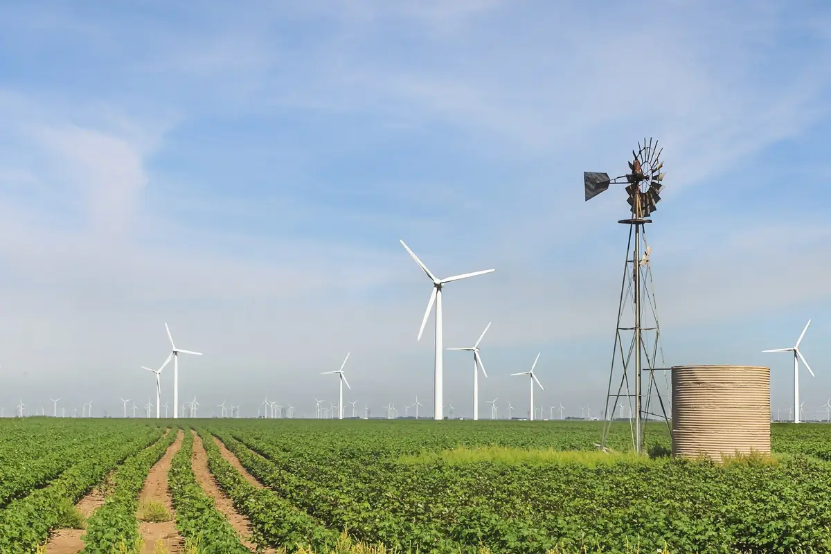 Wind turbines over cotton fields in West Texas